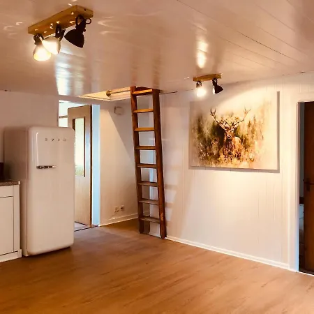 Ferienwohnung Josefine דירה Niedergesteln